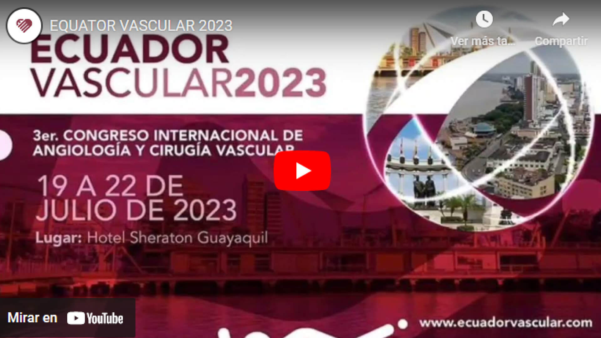 Equator Vascular 2023